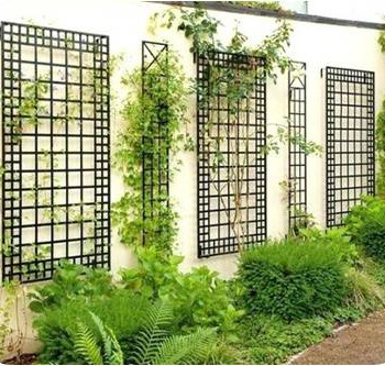 5 Piece Garden Wall Trellis